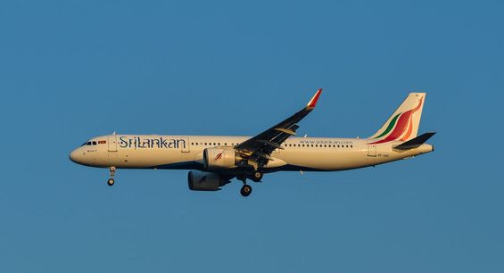 Odoo • Text and Image